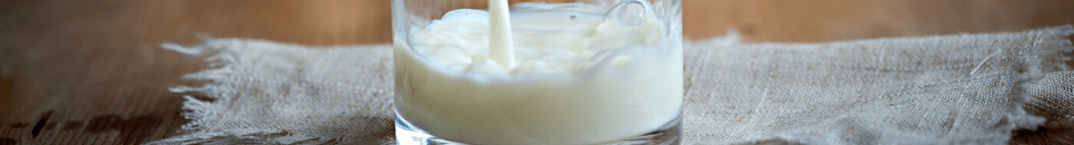 Aménagement de l'exploitation Transformation du lait Écrémeuse électrique  600 litres - MILKY UKAL 