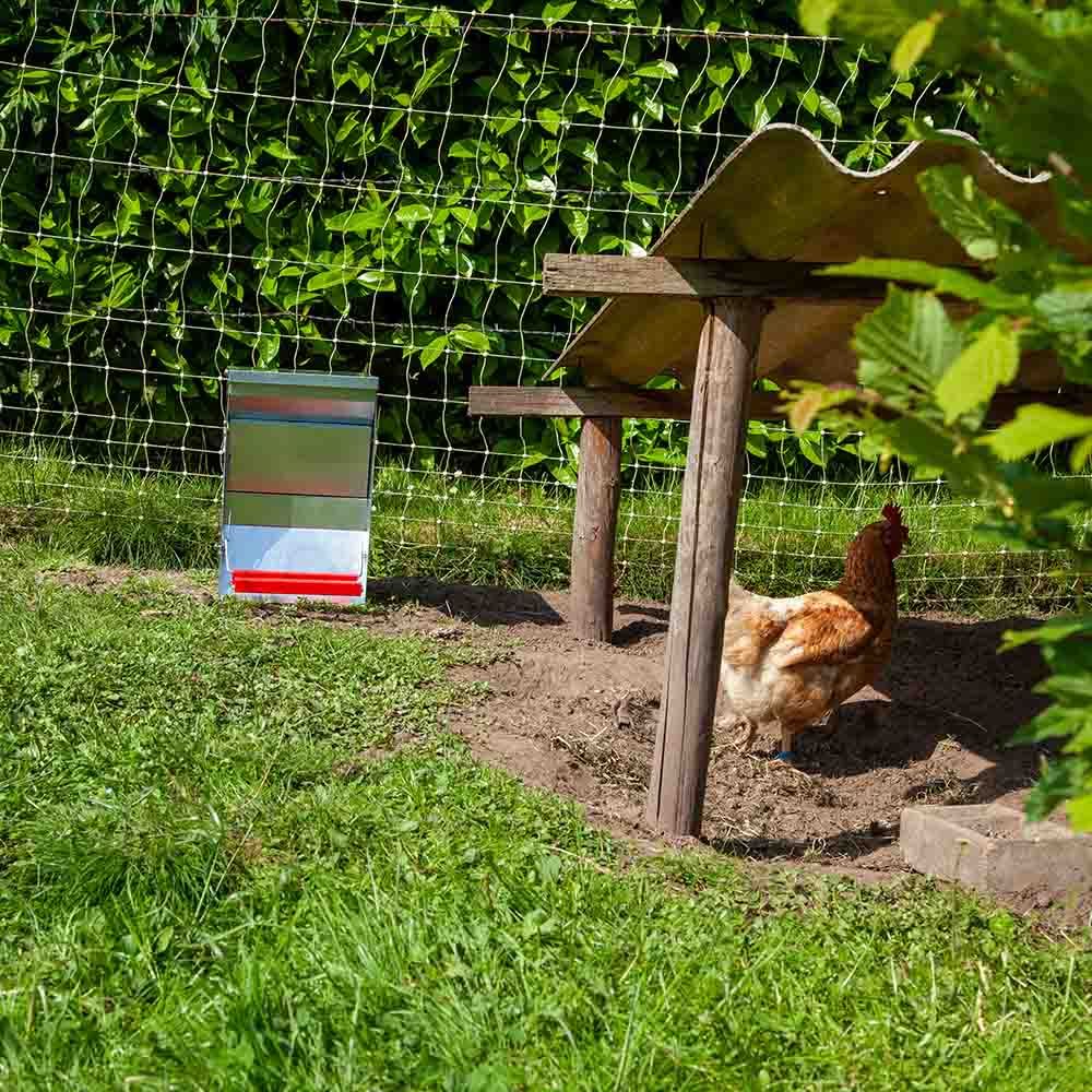 Mangeoire anti nuisible Rooster 10kg - Chemin des Poulaillers