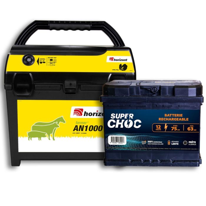 Poste mixte AN1000 et batterie 12 V 75 Ah