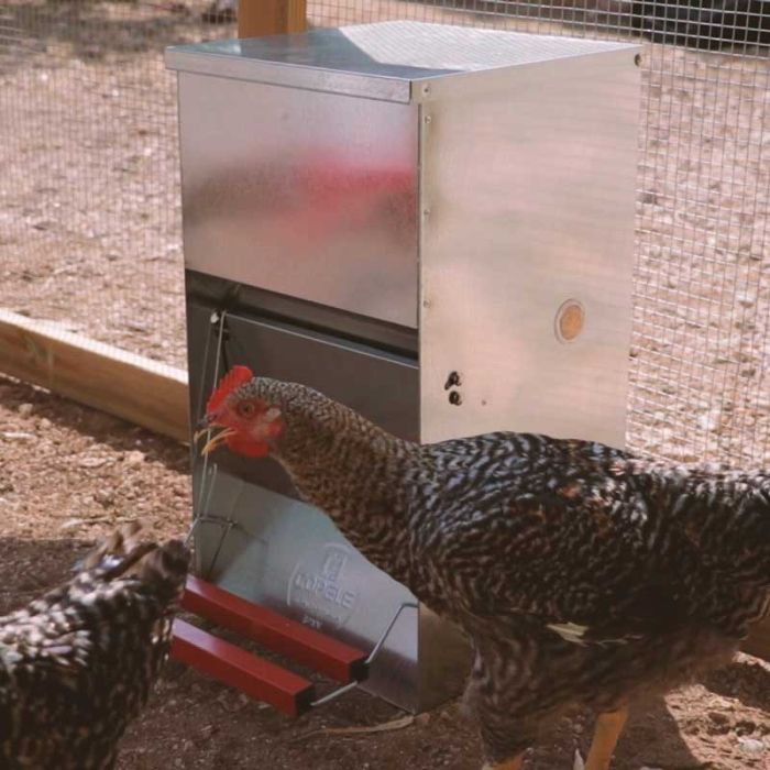 Mangeoire pour poules anti-nuisibles en acier galvanisé – 5 kg