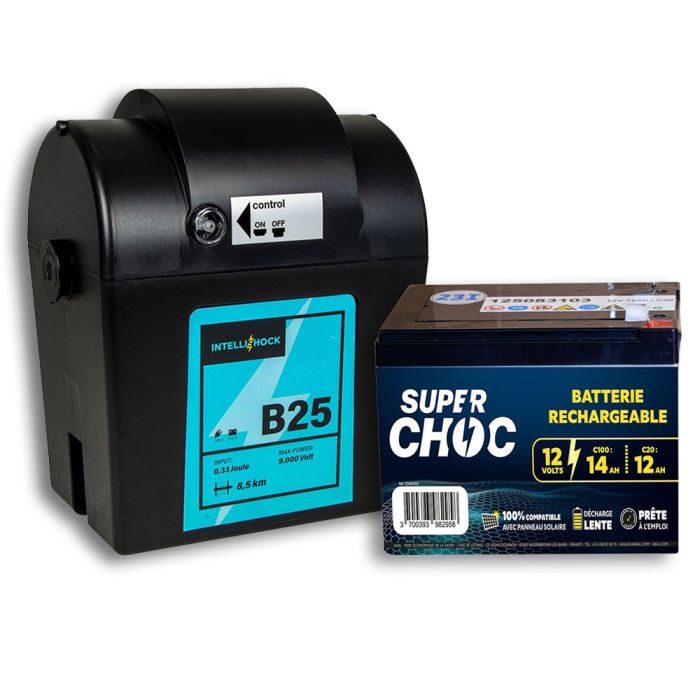 Poste de clôture B25 et batterie 12 V 14 Ah